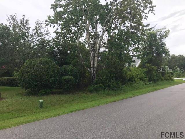 Palm Coast, FL 32137,29 FERNMILL LN