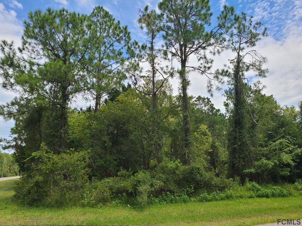 Palm Coast, FL 32164,118 KARAS TRL