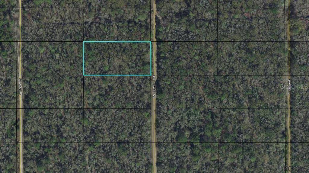 Bunnell, FL 32110,00 UNDERWOOD AVE