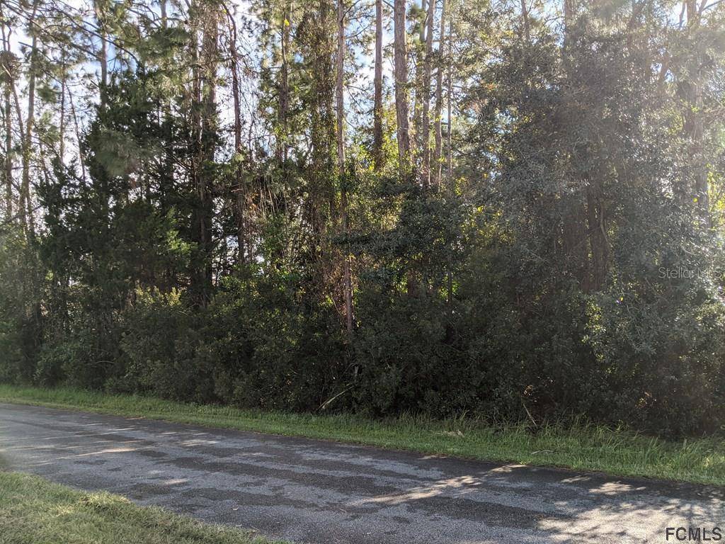 Palm Coast, FL 32164,14 EHRLING LN