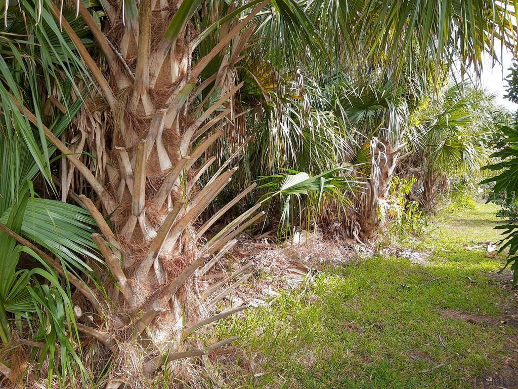 Palm Coast, FL 32164,9 PRINCESS KATHLEEN LN