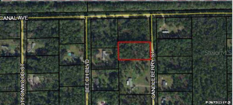 Bunnell, FL 32110,1058 CANDLEBERRY ST