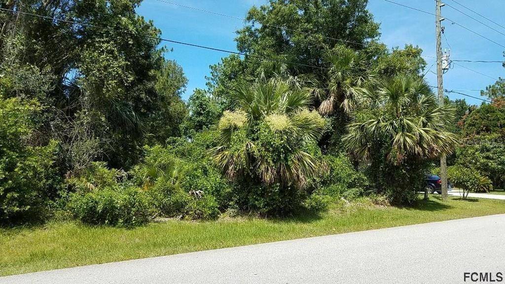 Palm Coast, FL 32164,29 WOOD ASH LN