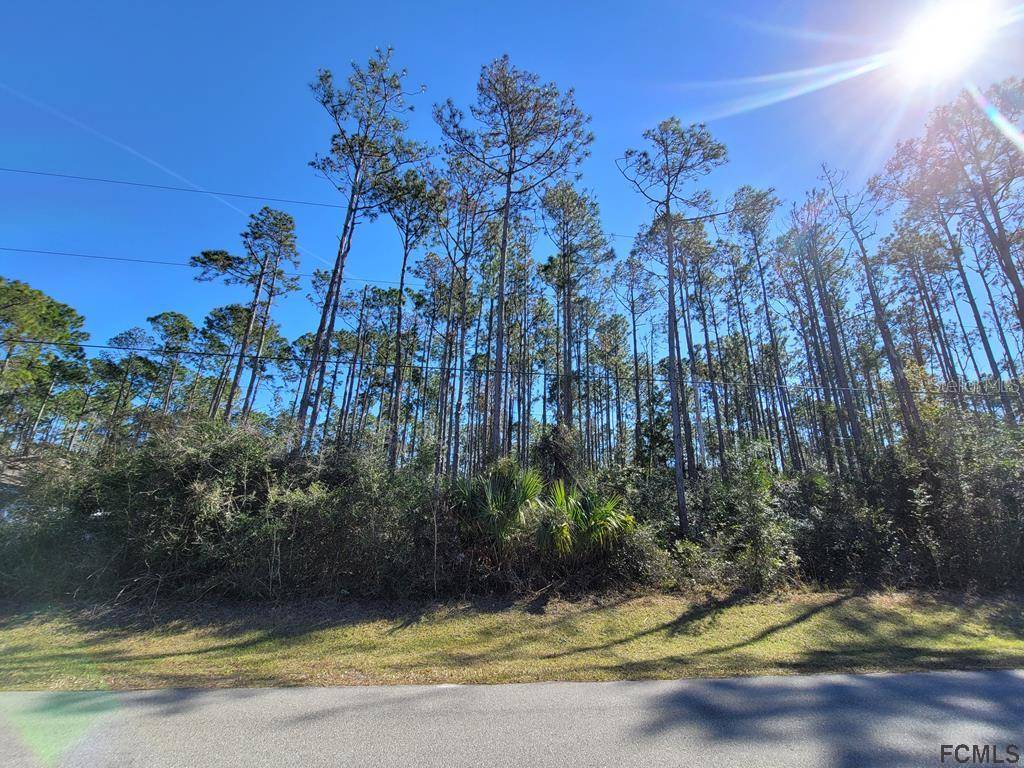 Palm Coast, FL 32164,80 SMITH TRL