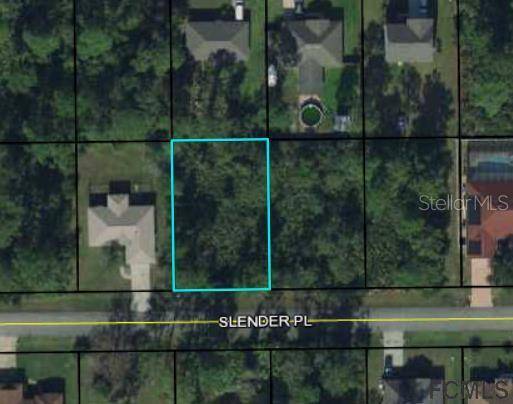 Palm Coast, FL 32164,8 SLENDER PL