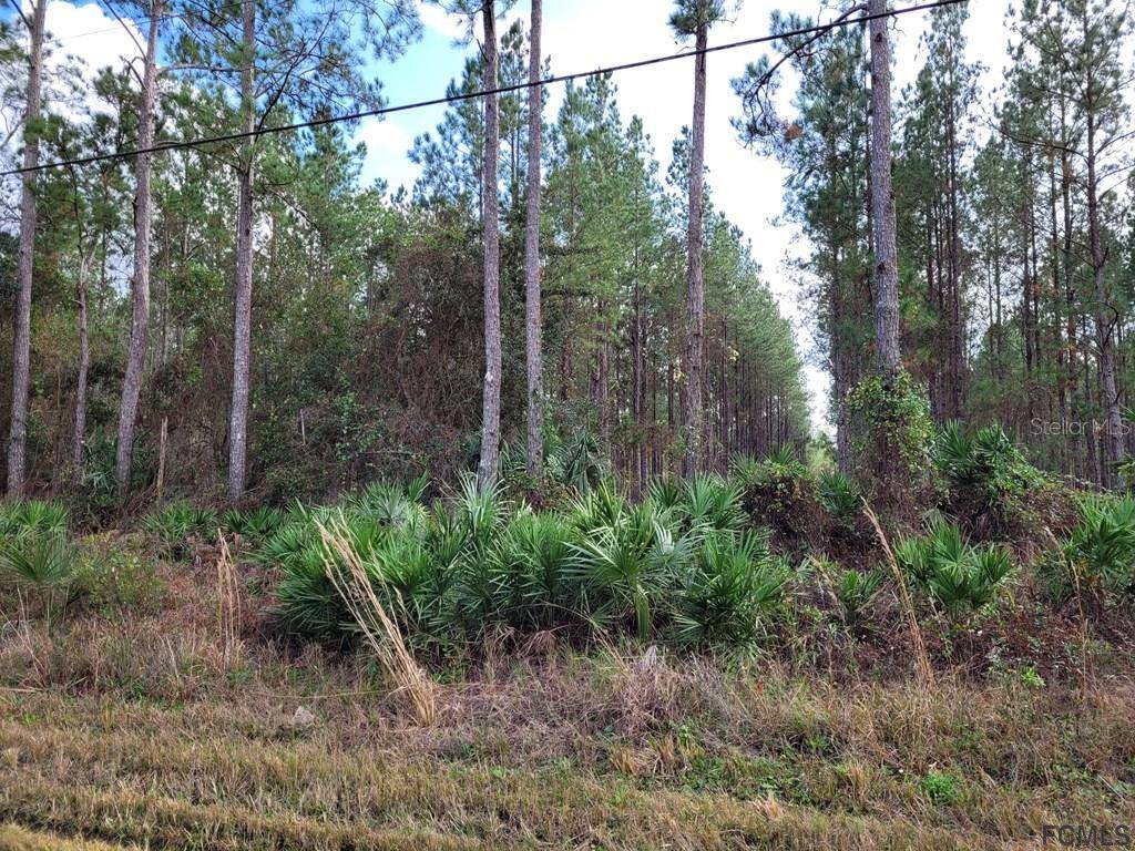 Bunnell, FL 32110,000A County Road 302