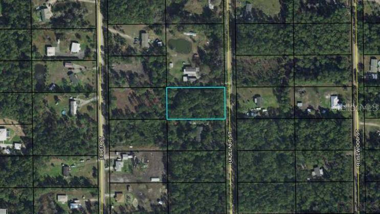 Bunnell, FL 32110,2154 HAZELNUT ST