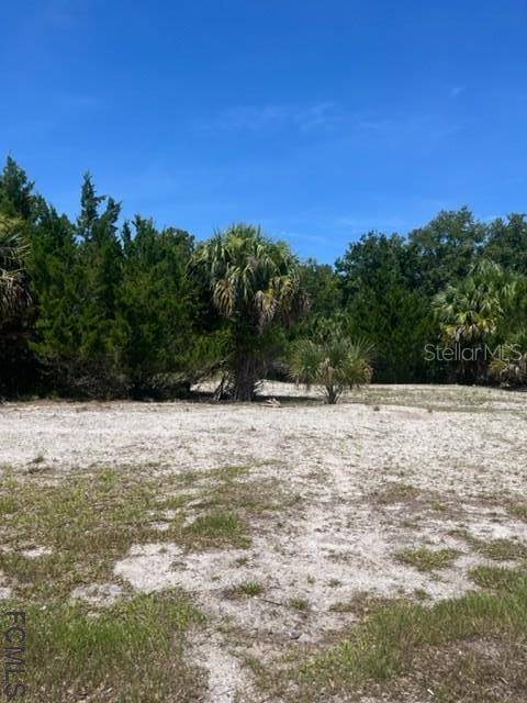 Palm Coast, FL 32137,33 OLD OAK DR S