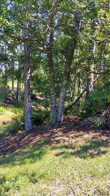 Palm Coast, FL 32164,36 WOODBORN LN