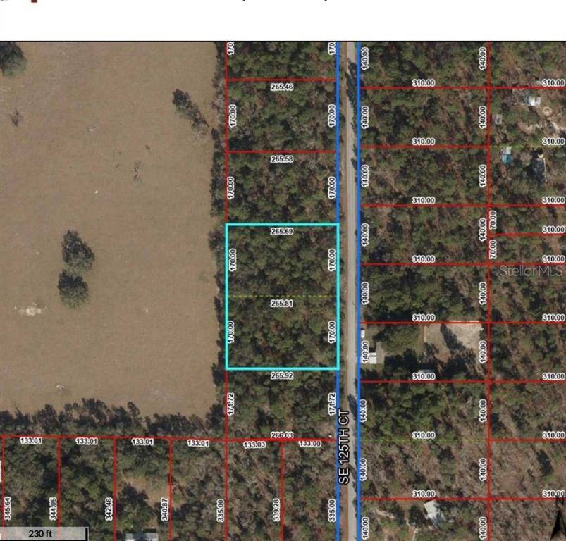 Dunnellon, FL 34431,TBD SE 125TH CT