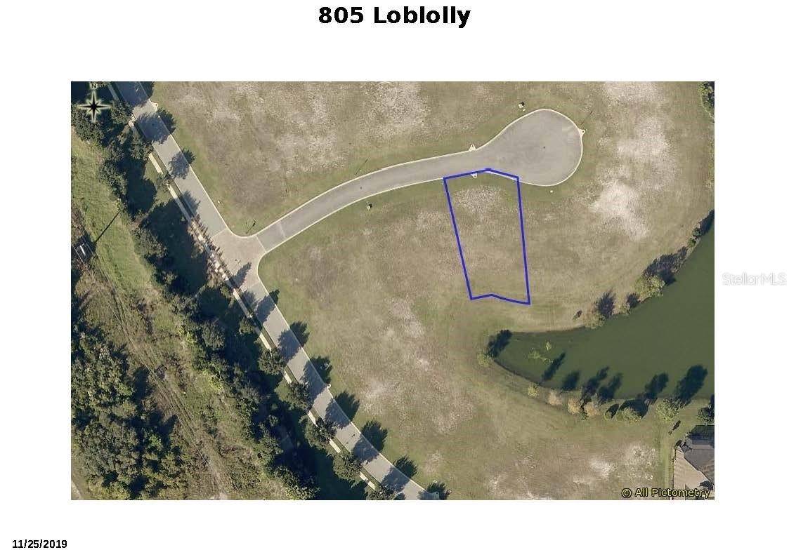 Palm Coast, FL 32137,805 LOBLOLLY CT