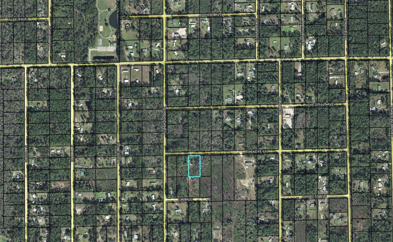 Bunnell, FL 32110,5891 BUCKEYE LN