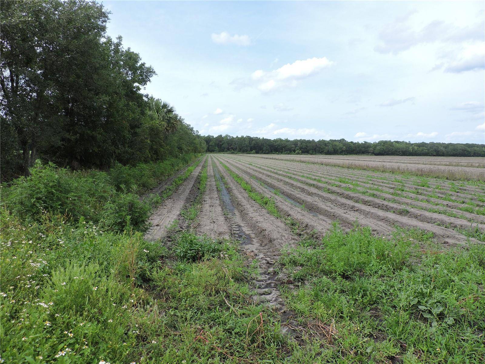 Bunnell, FL 32110,COUNTY ROAD 90 RD E