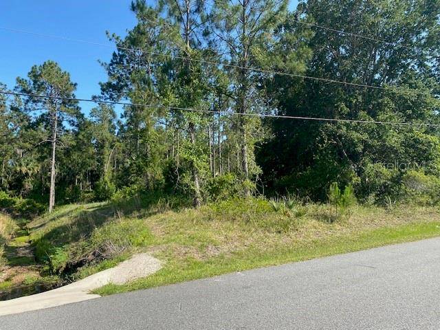 Palm Coast, FL 32137,22 BUD HOLLOW DR