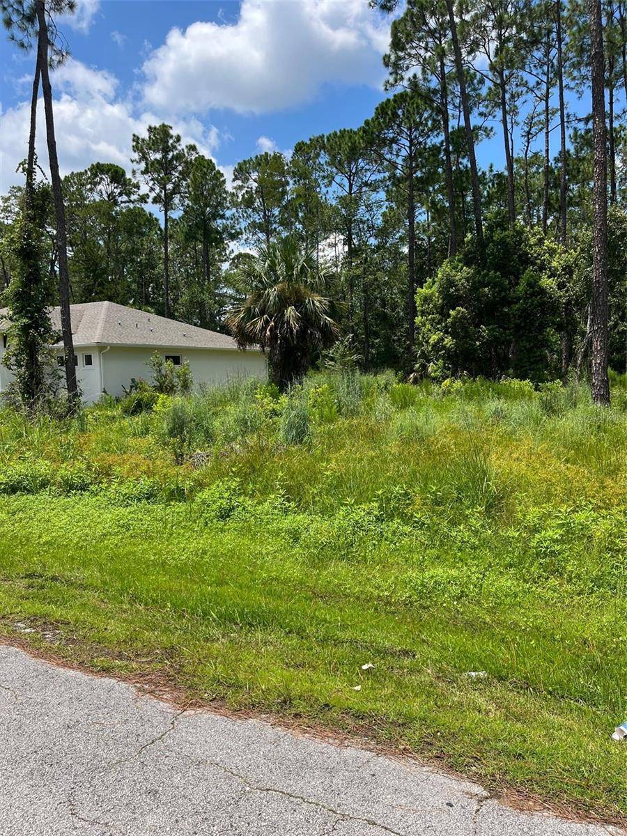 Palm Coast, FL 32164,18 RED TOP LN