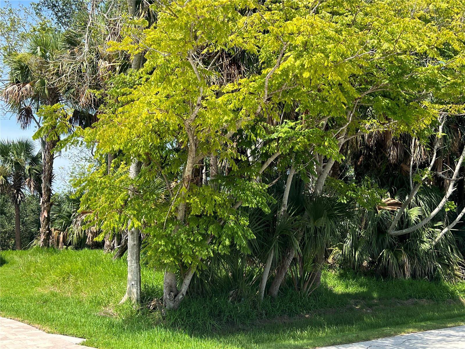 Palm Coast, FL 32137,111 CIMMARON DR
