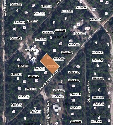 Satsuma, FL 32189,112 S CAROLINA DR