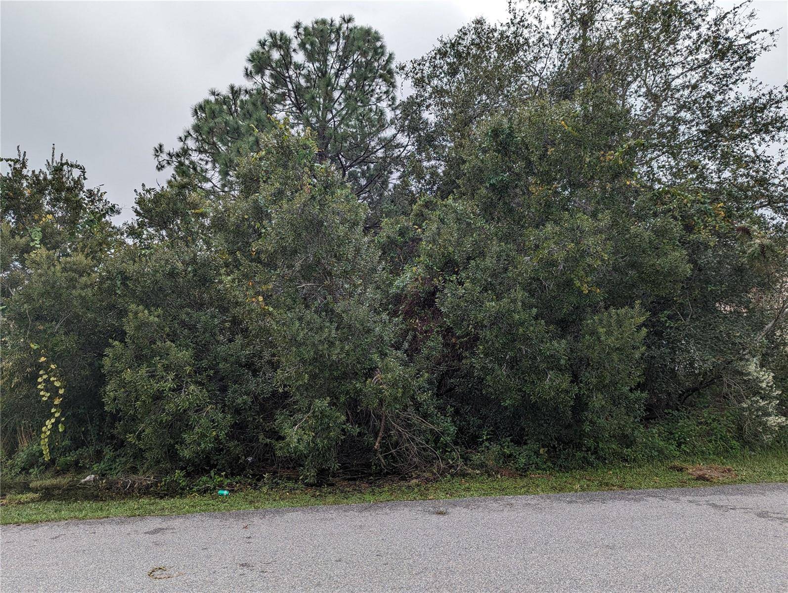 Palm Coast, FL 32137,113 BUD HOLLOW DR