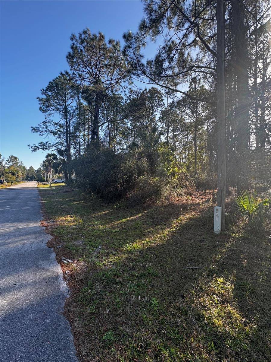 Palm Coast, FL 32164,48 SEDGWICK TRL