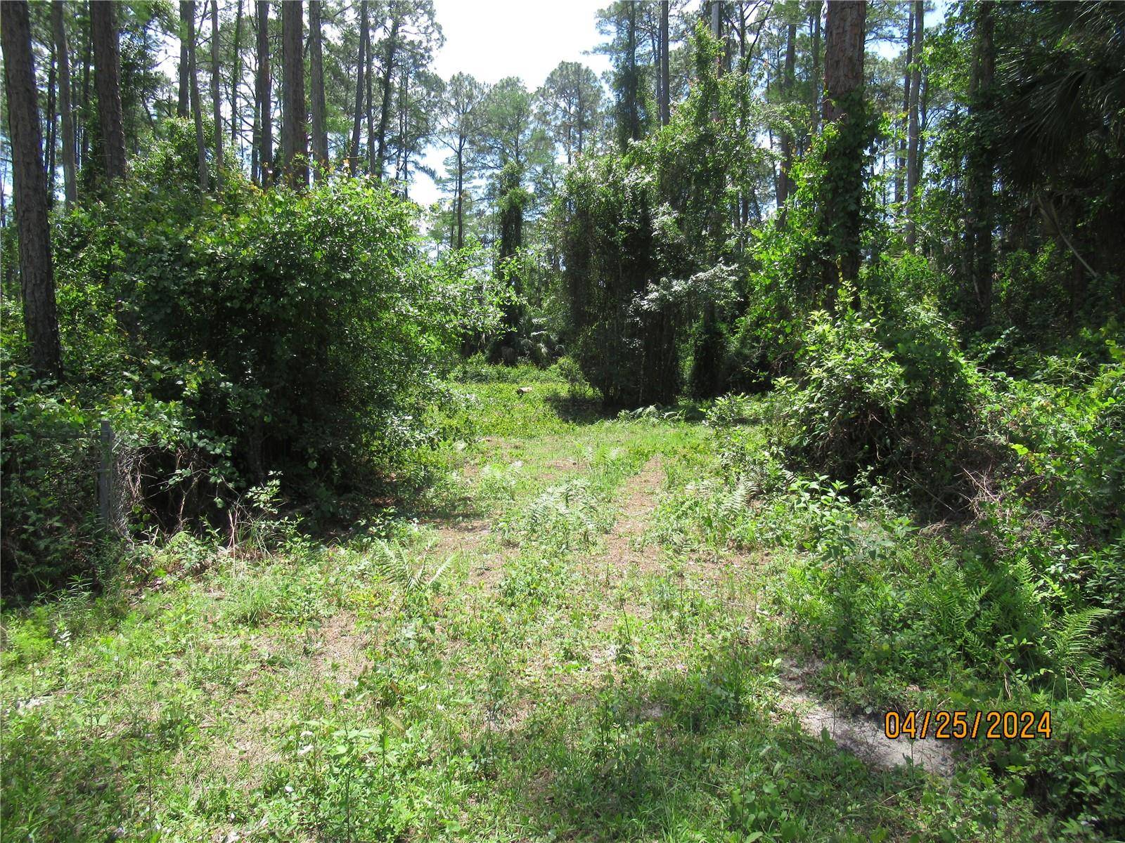 Bunnell, FL 32110,4643 WALNUT AVE