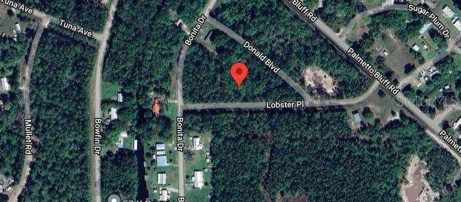 Palatka, FL 32177,106 LOBSTER PL