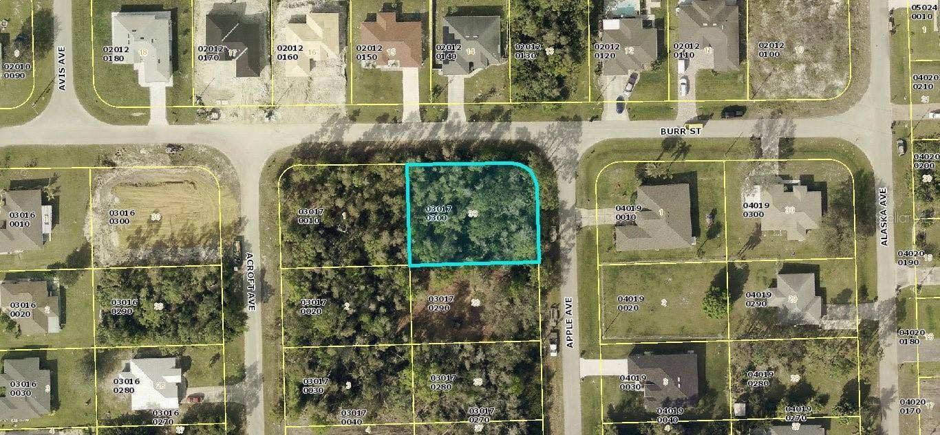 Lehigh Acres, FL 33971,1033 APPLE AVE