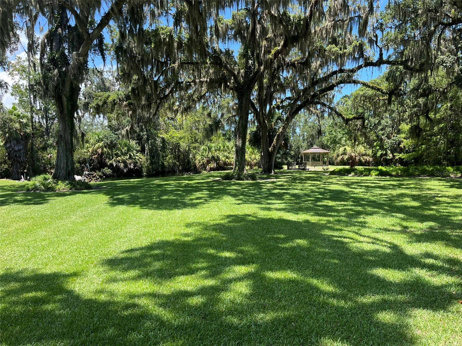 Palm Coast, FL 32137,308 PALM COAST Pkwy NE #203