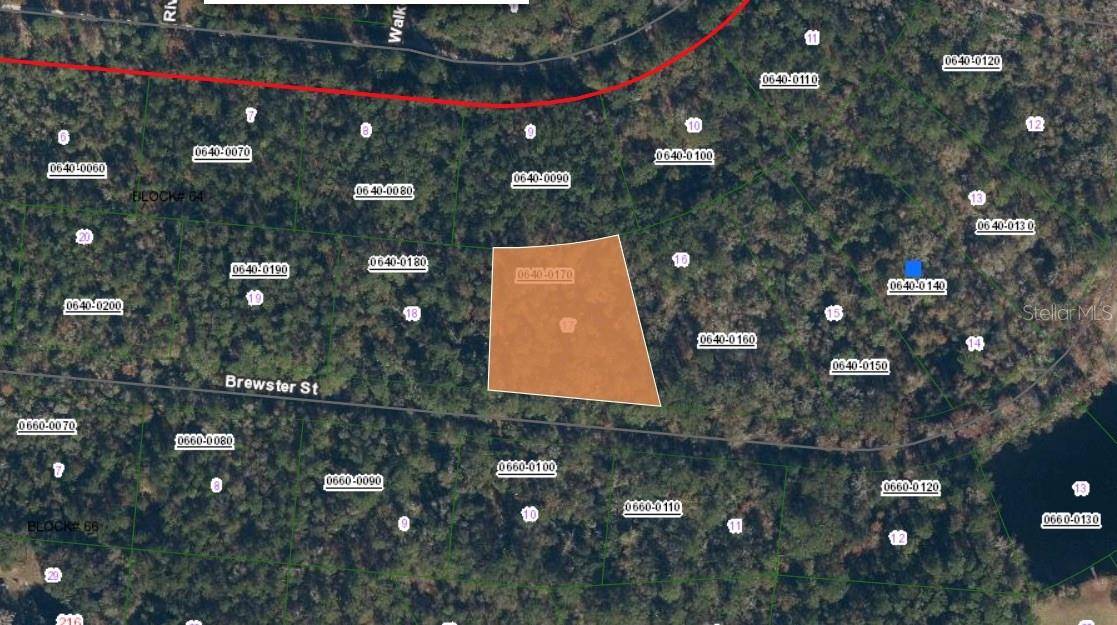 Satsuma, FL 32189,223 BREWSTER ST