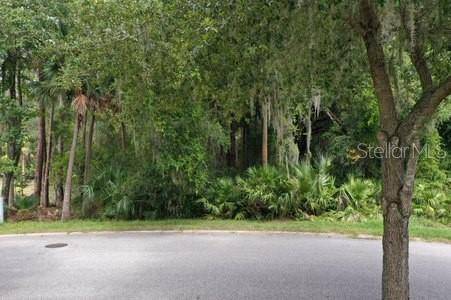 Palm Coast, FL 32137,165 WILLOW OAK WAY