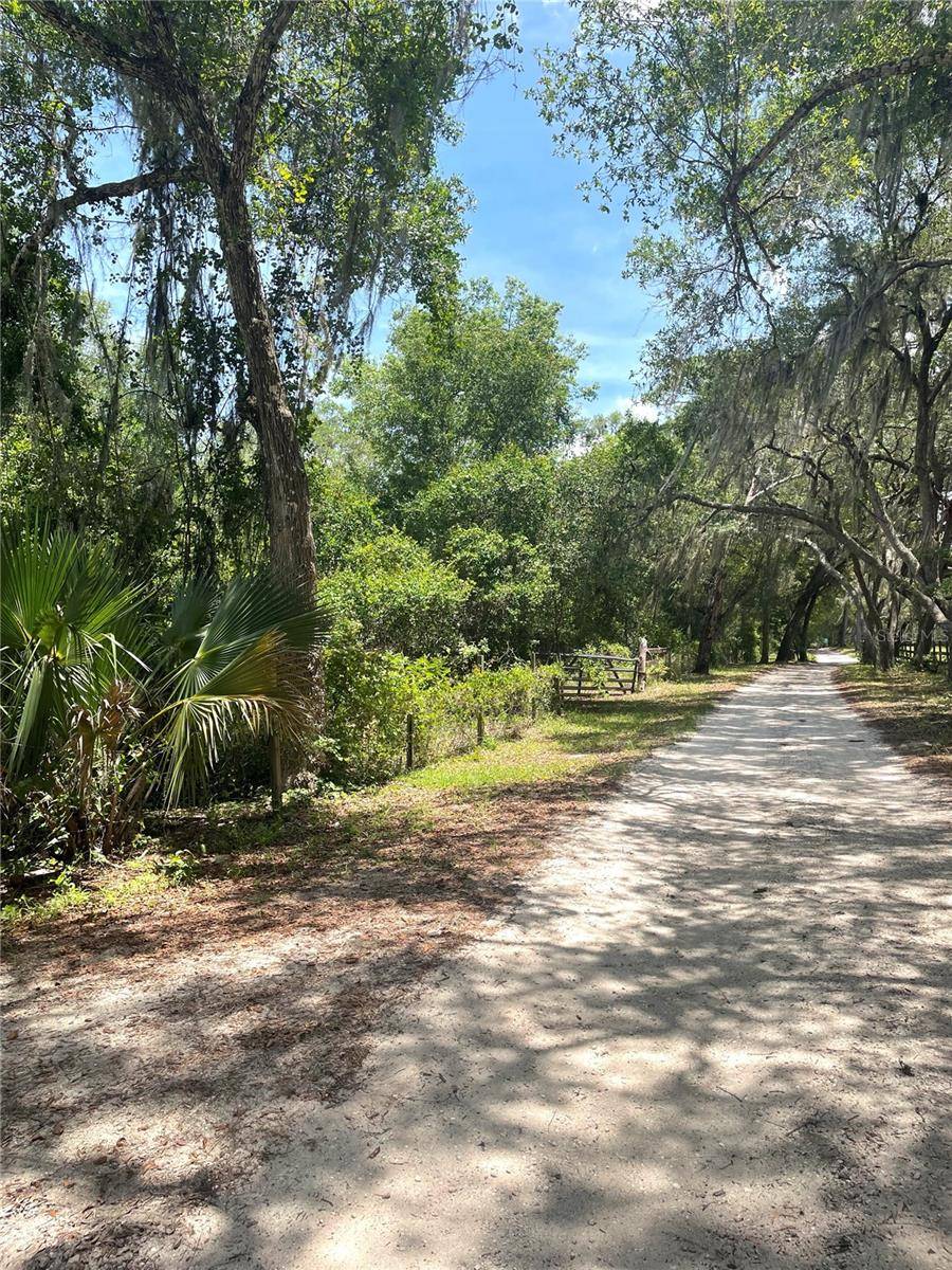 De Leon Springs, FL 32130,LAKE DIAS CEMETERY RD