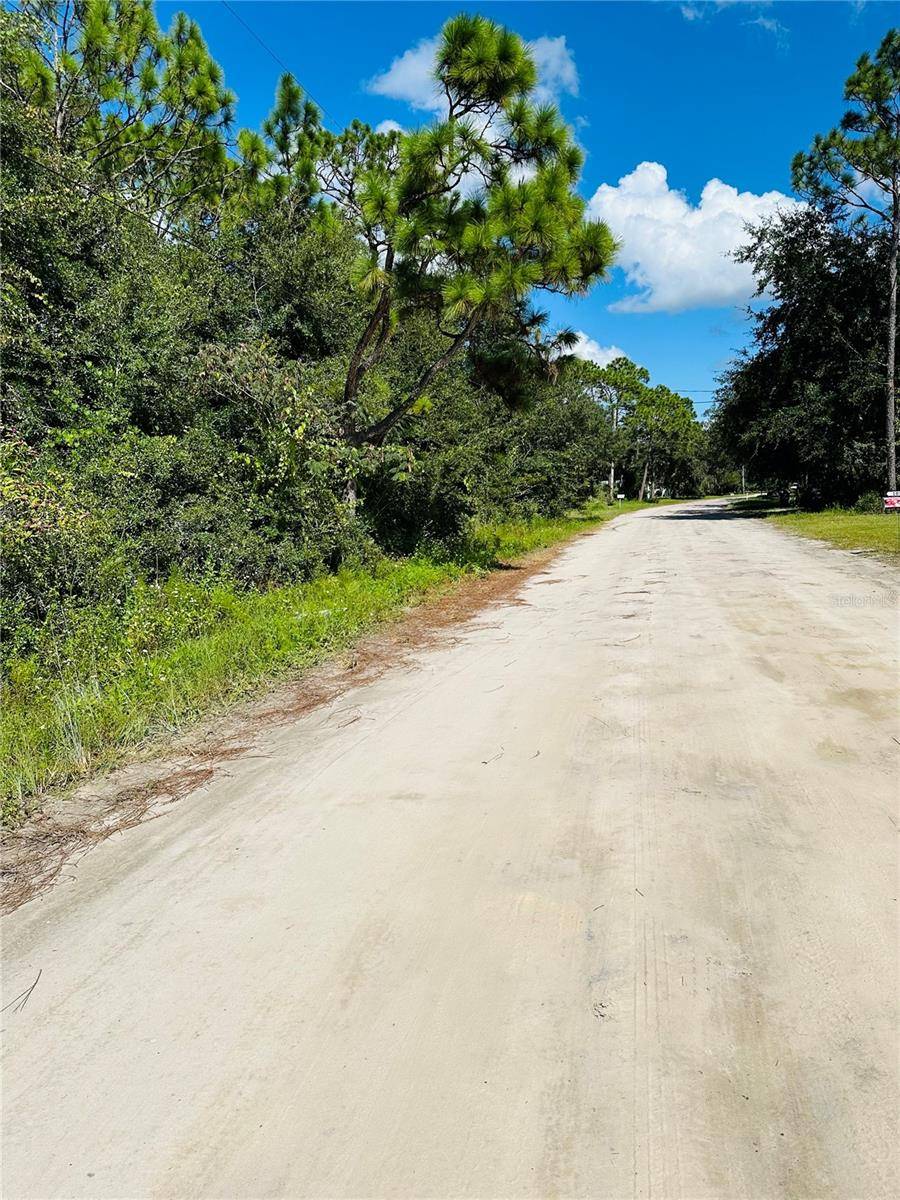 Satsuma, FL 32189,106 SUNLAND DR