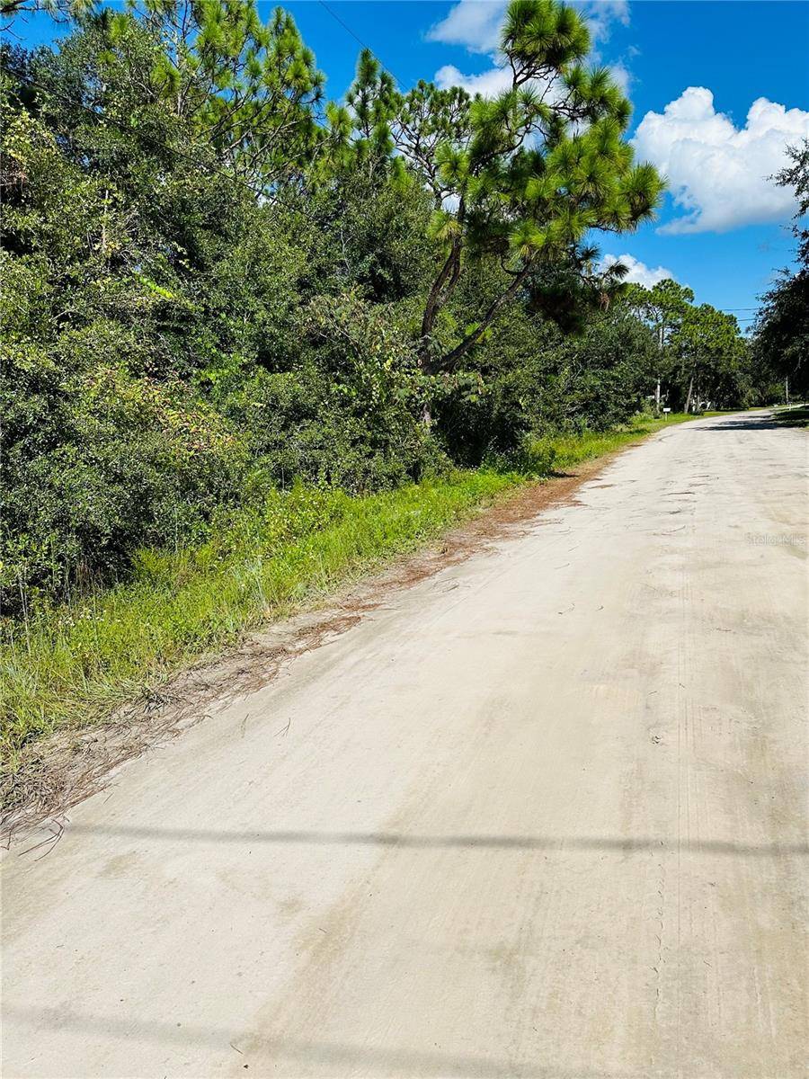 Satsuma, FL 32189,106 SUNLAND DR