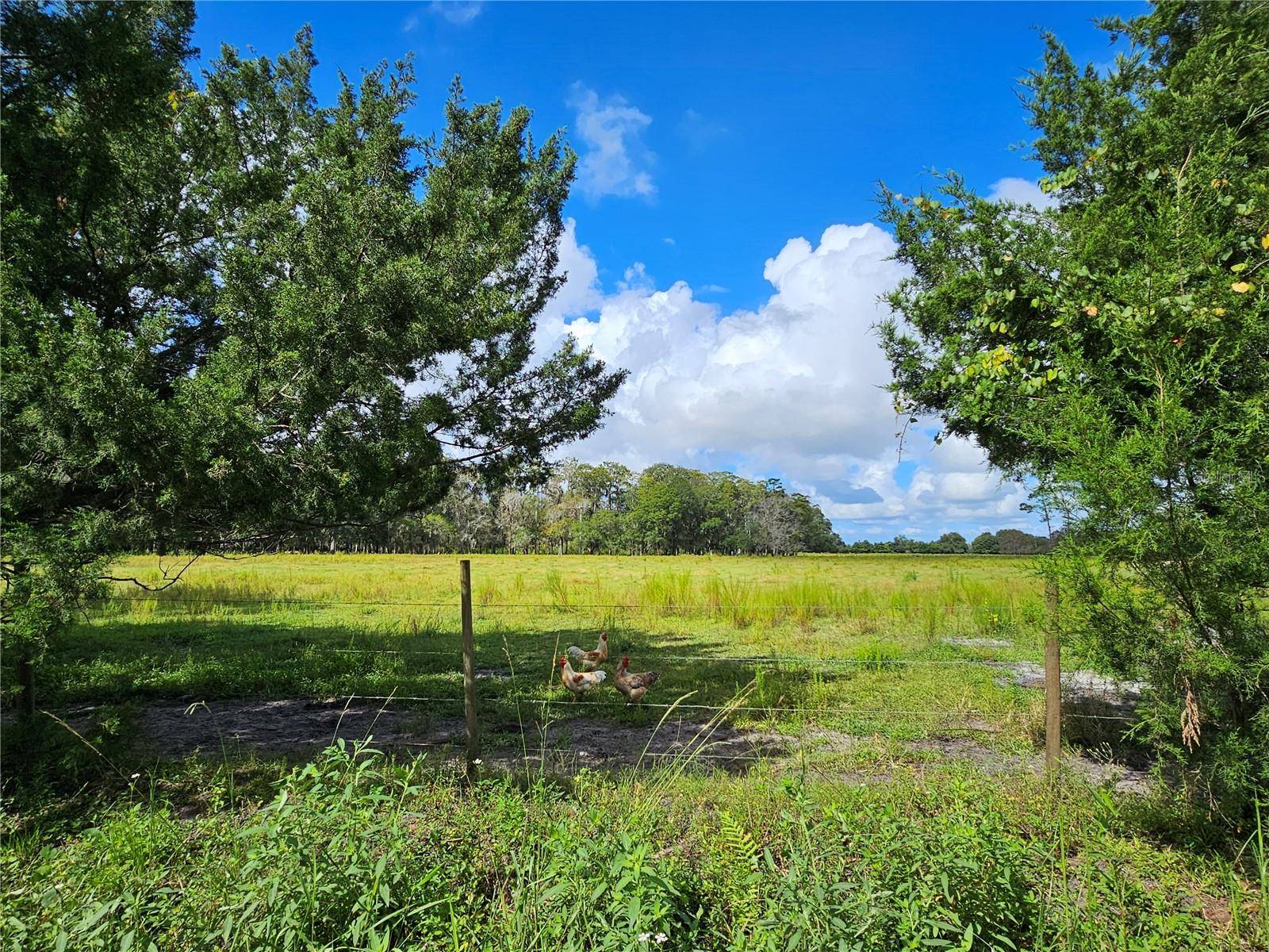 Bunnell, FL 32110,000 COUNTY ROAD 65 #Parcel B