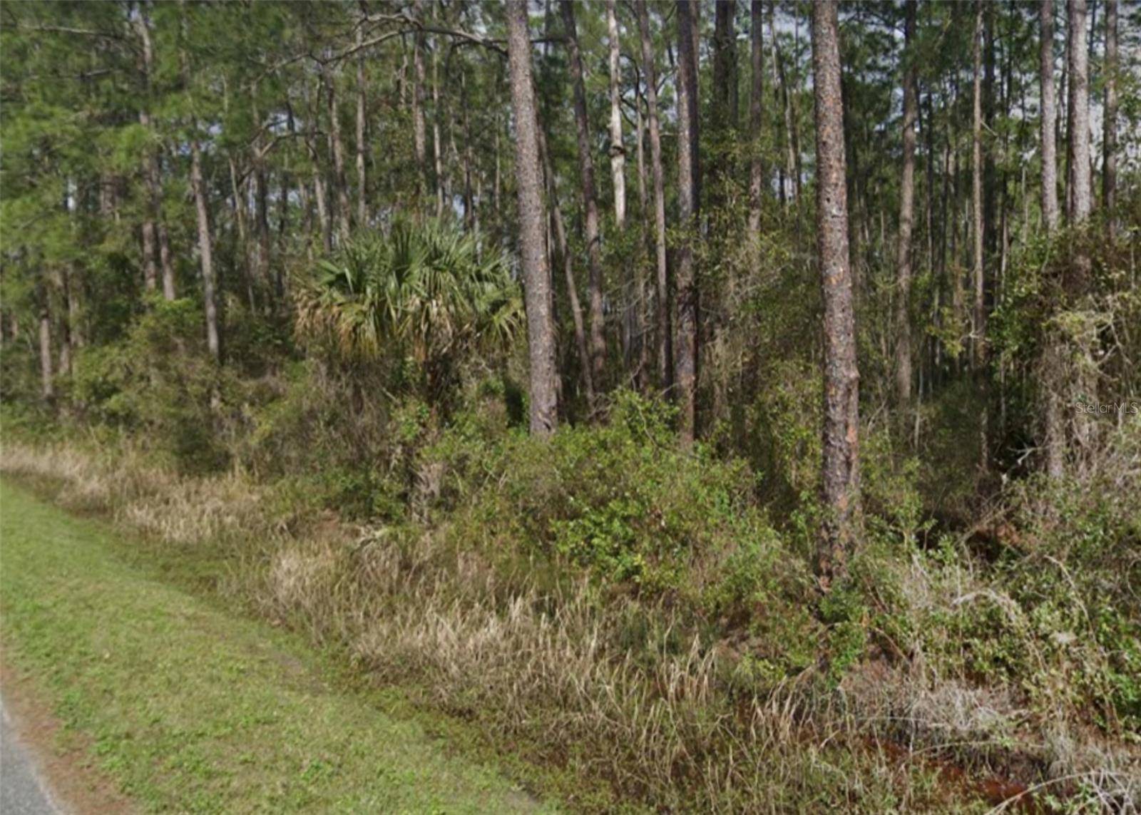 East Palatka, FL 32131,306 TURNER RD