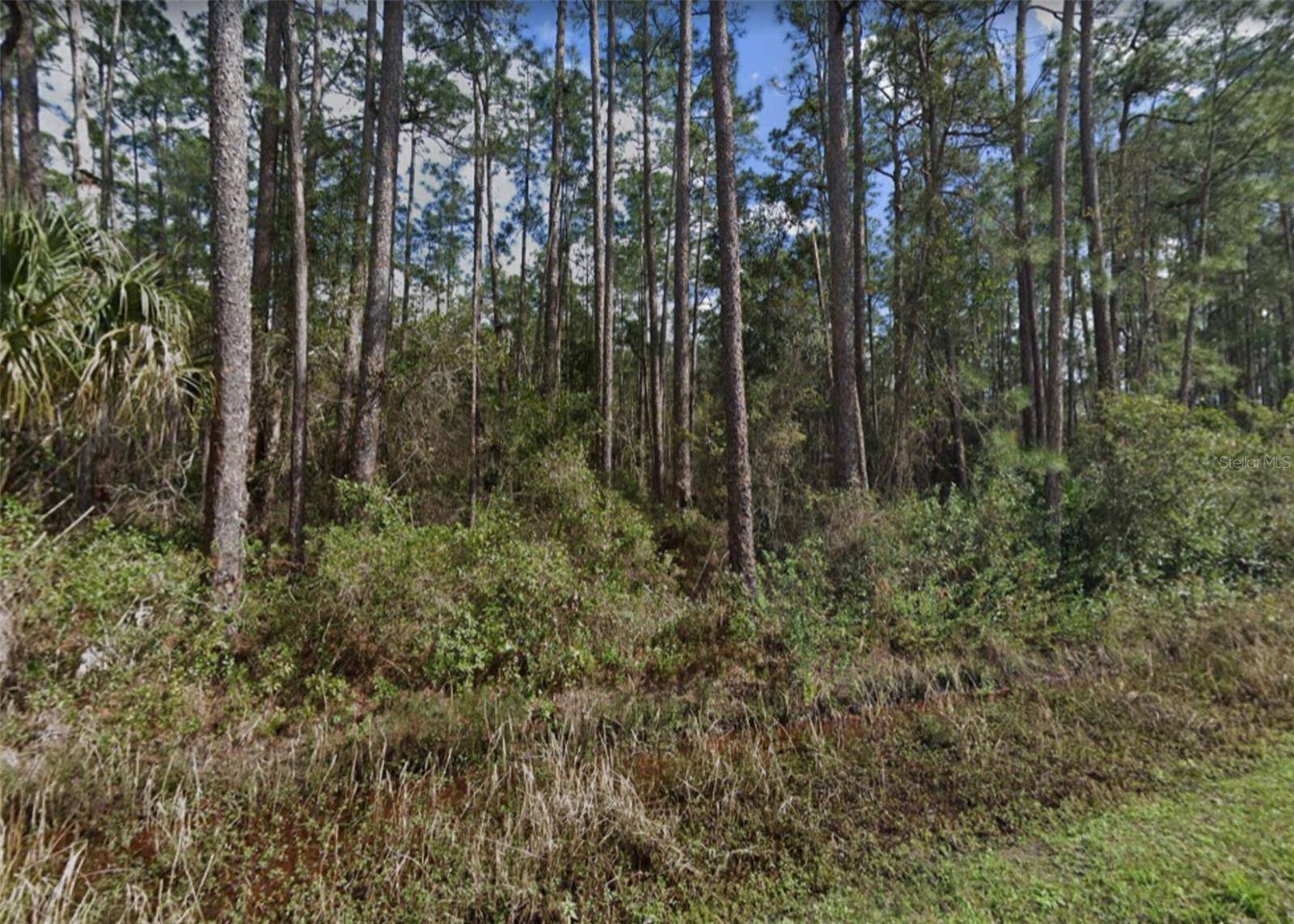 East Palatka, FL 32131,306 TURNER RD