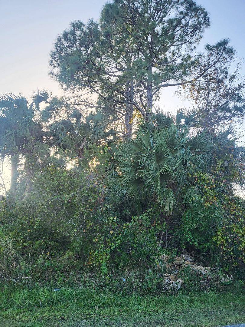 Palm Coast, FL 32164,32 PRINCESS DOLORES LN