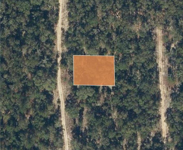 Hawthorne, FL 32640,334 MISSISSIPPI AVE