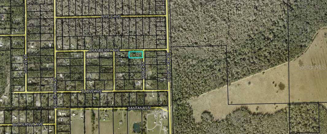 Bunnell, FL 32110,3615 CRANBERRY AVE AVE