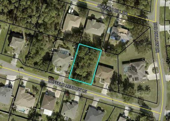 Palm Coast, FL 32137,6 BUFFALO MEADOW LN