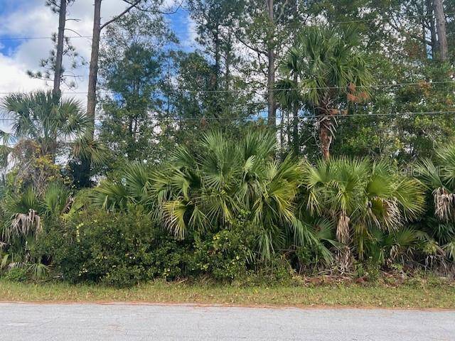 Palm Coast, FL 32164,11 PINELARK LN