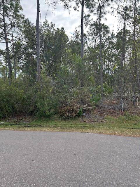 Palm Coast, FL 32164,34 KATHLEEN TRL