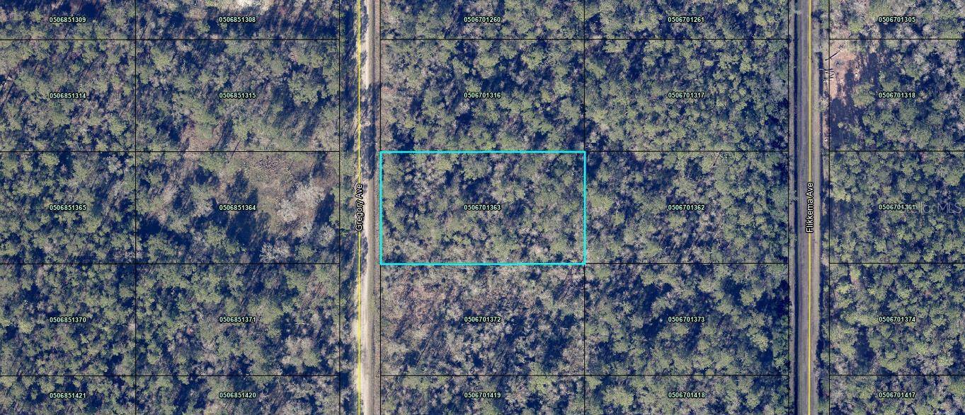Hastings, FL 32145,GREGORY AVE