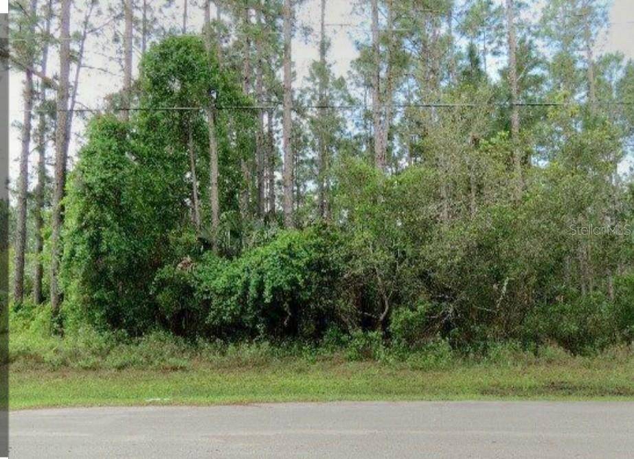 Palm Coast, FL 32164,55 ROBINSON DR