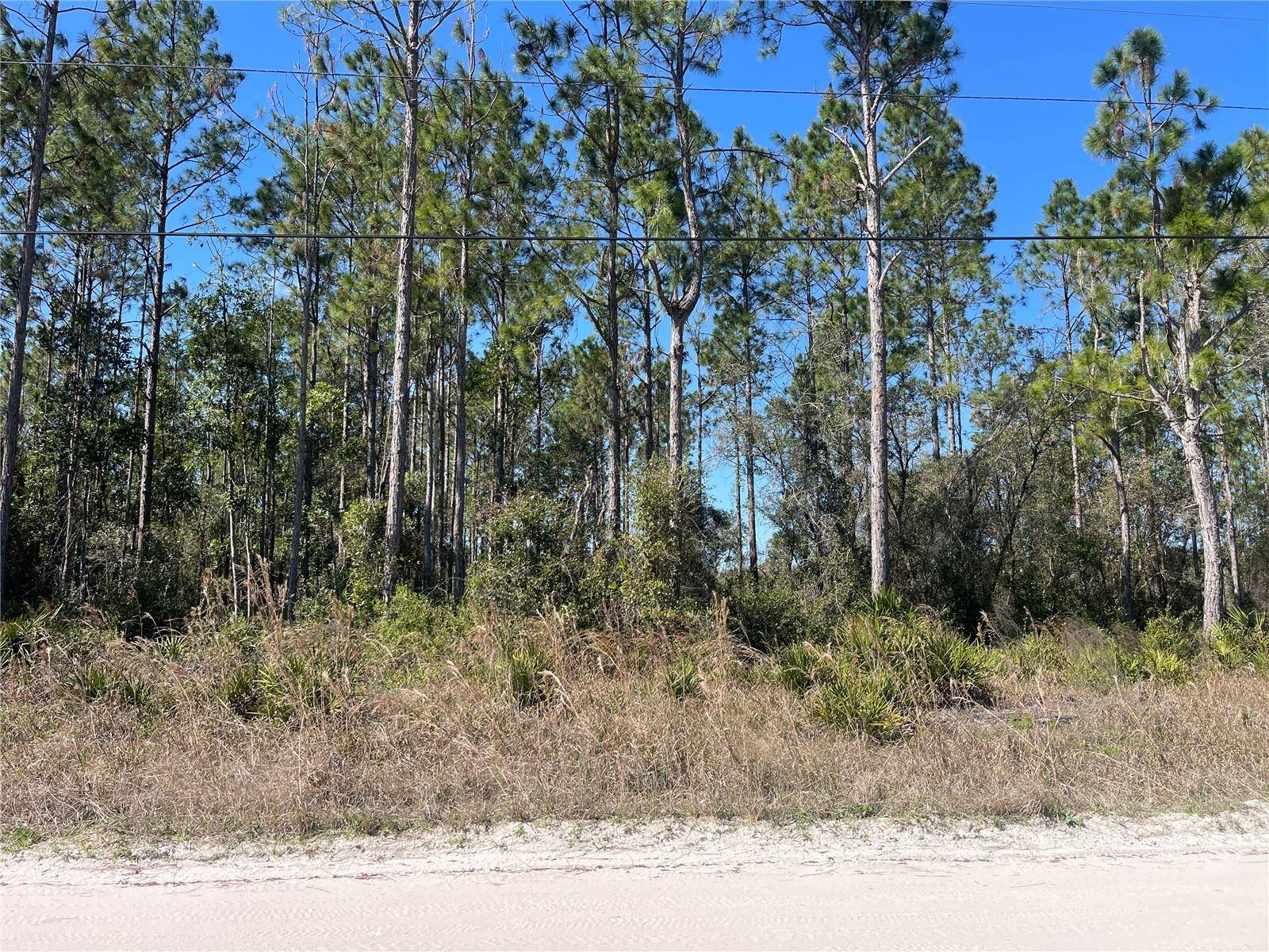Pierson, FL 32180,CHESSER HAMMOCK RD