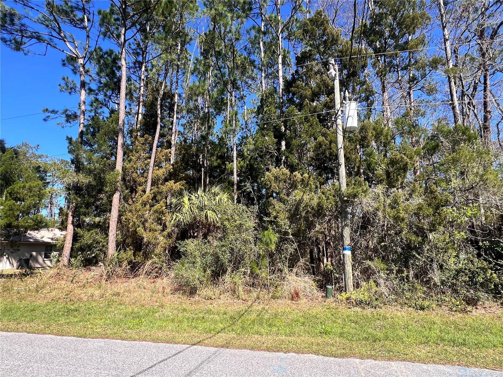 Palm Coast, FL 32164,179 ULLIAN TRL