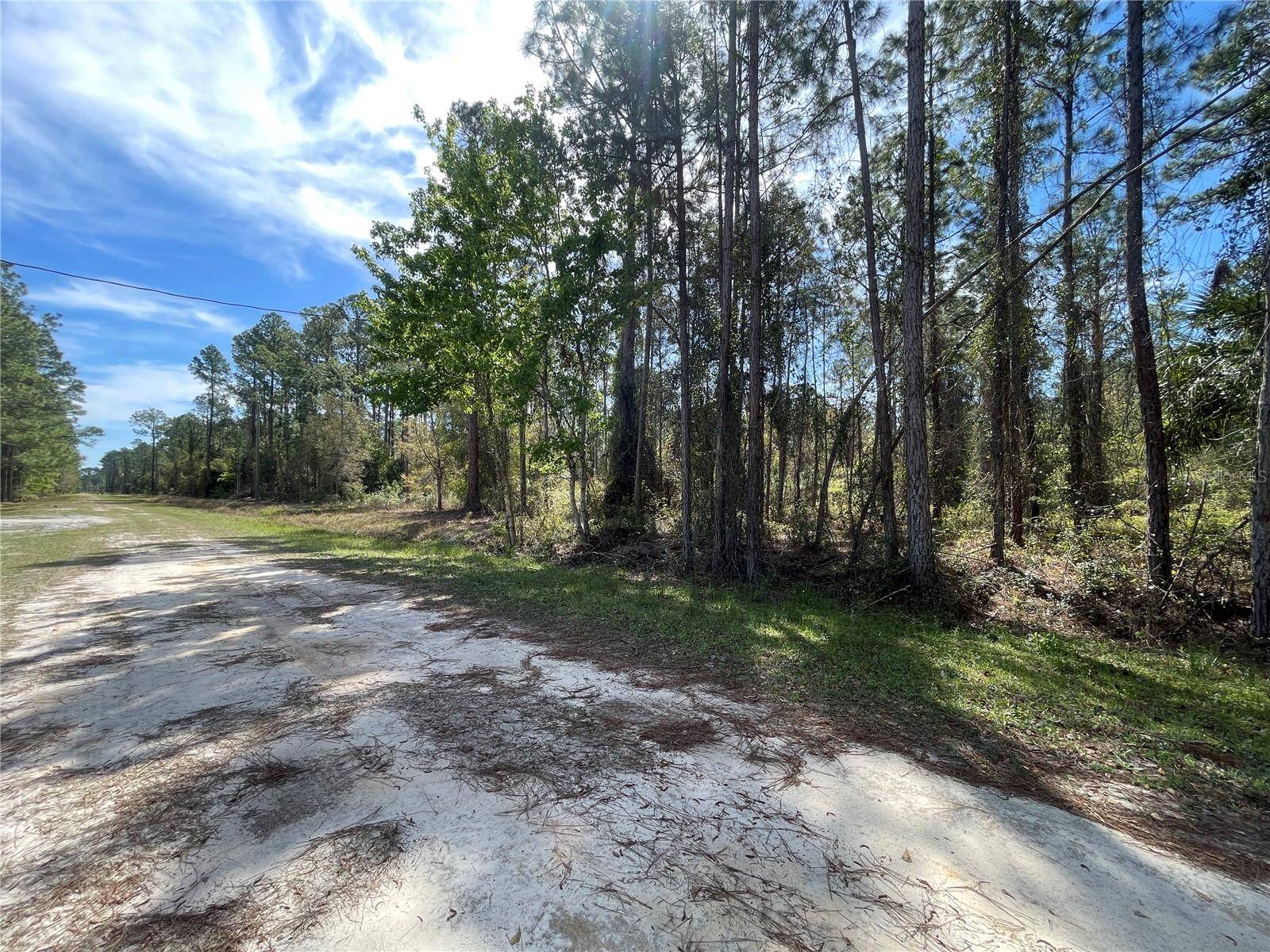 Georgetown, FL 32139,103 ROSEWOOD ST