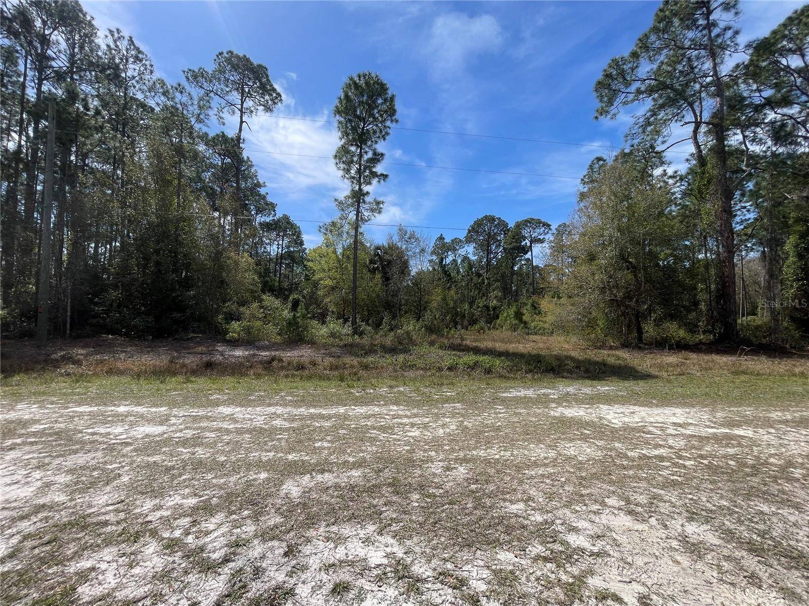 Georgetown, FL 32139,103 ROSEWOOD ST