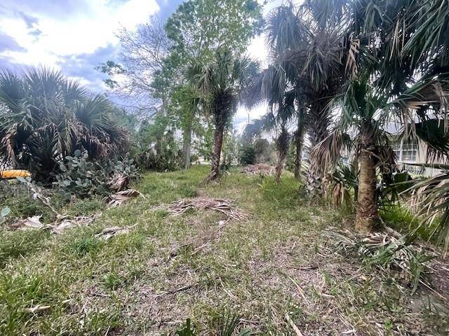 Palm Coast, FL 32137,41 COMANCHE CT