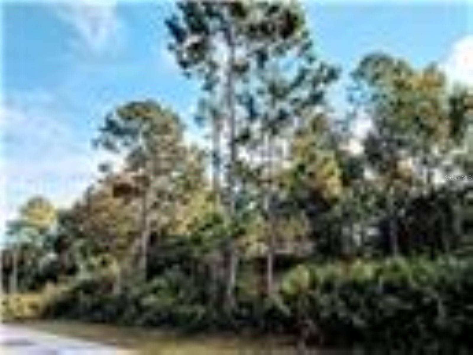 Palm Coast, FL 32164,83 PINE HAVEN DR