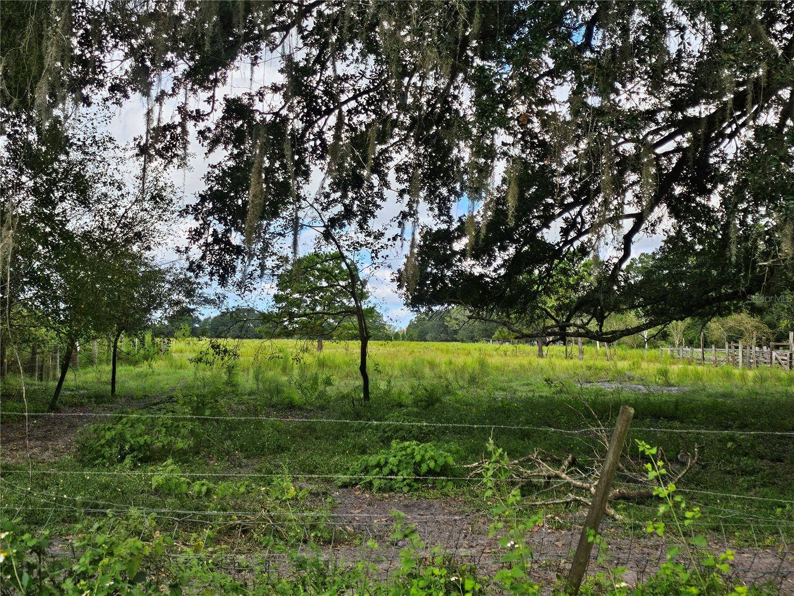 Bunnell, FL 32110,000 CR65